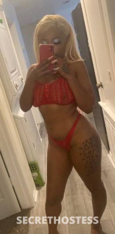 Honeyy 26Yrs Old Escort San Antonio TX Image - 2