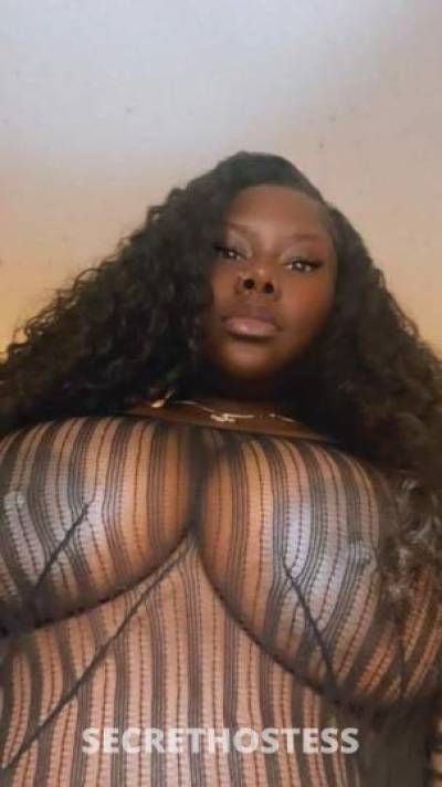 27 year old Escort in Rochester NY Jamie