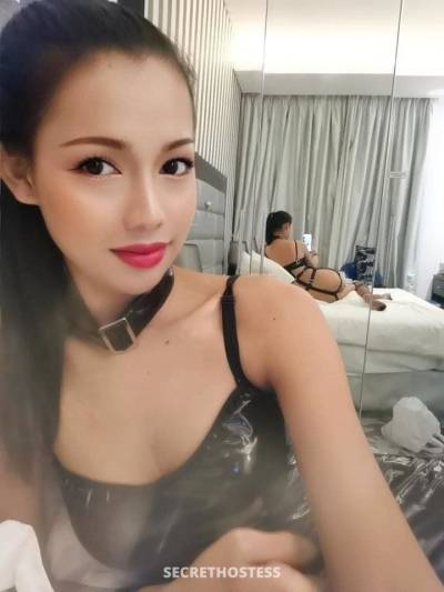 24 Year Old Asian Escort Phuket - Image 2