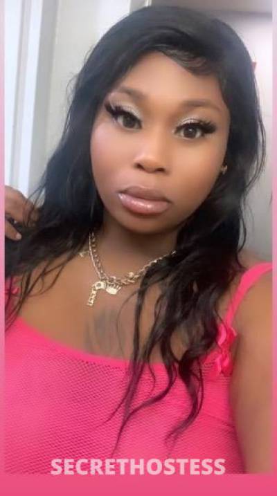 Kitty 23Yrs Old Escort Lafayette LA Image - 1