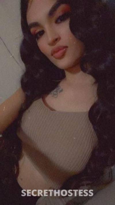 Lexxi 21Yrs Old Escort Fresno CA Image - 4