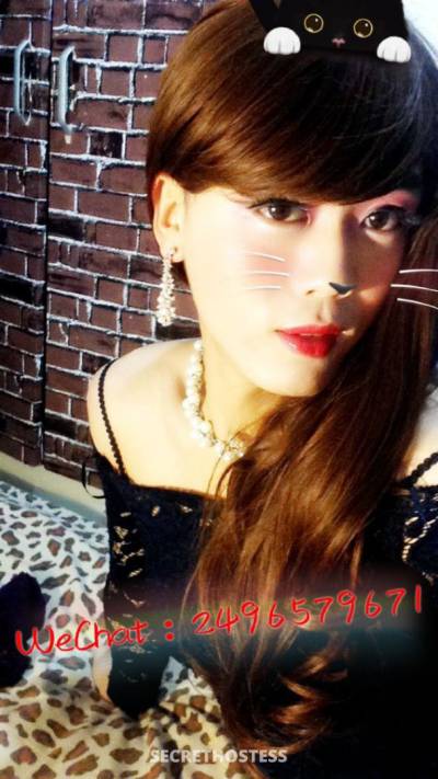 Lulu 24Yrs Old Escort 170CM Tall Shanghai Image - 4