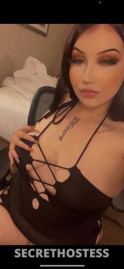 24 year old Italian Escort in Palm Springs CA palm springs incalls/outcalls