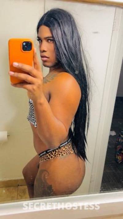 Mia 23Yrs Old Escort Phoenix AZ Image - 1