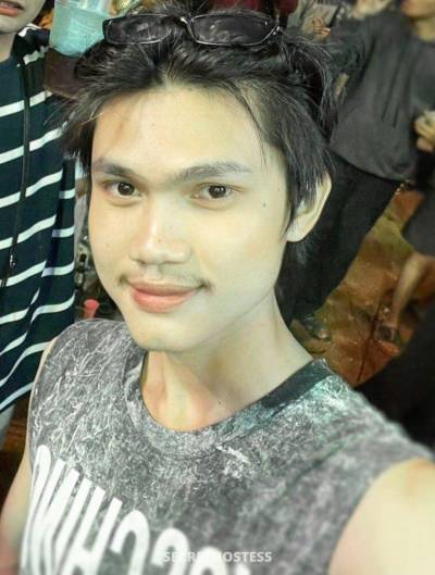 25 year old Asian Escort in Phuket Nex Thai, Transsexual escort