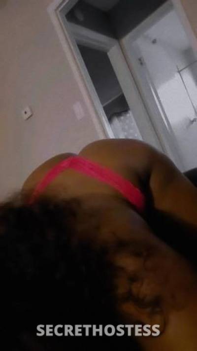 Pretty 21Yrs Old Escort Los Angeles CA Image - 0