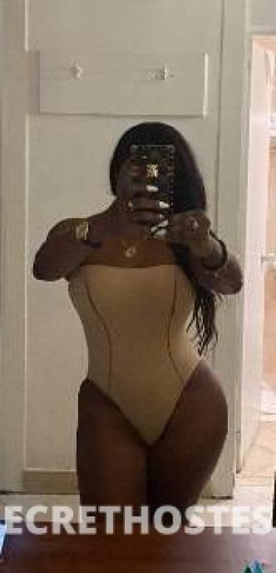 Rosa 36Yrs Old Escort Miami FL Image - 1