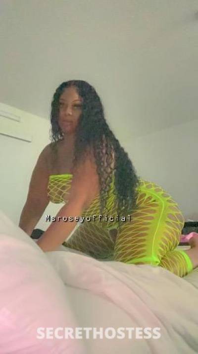 Rosey 26Yrs Old Escort Asheville NC Image - 5