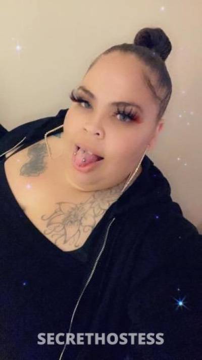Star 29Yrs Old Escort San Jose CA Image - 2