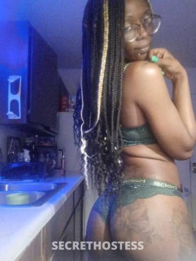 Stormy 29Yrs Old Escort Shreveport LA Image - 0