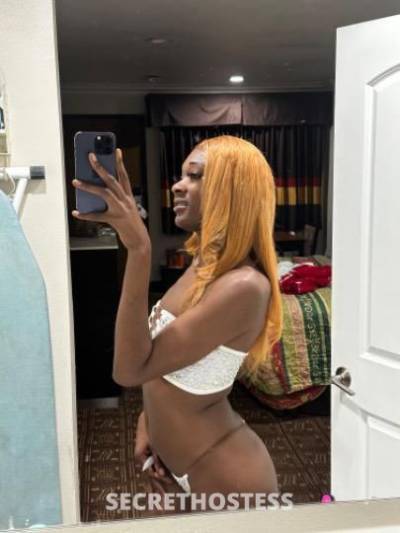 Teetee 23Yrs Old Escort Los Angeles CA Image - 0