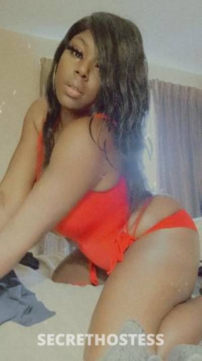 Venus 21Yrs Old Escort Houston TX Image - 6