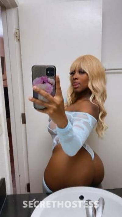 Wynter 25Yrs Old Escort Toledo OH Image - 2