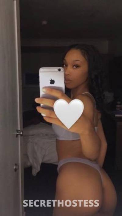 23 Year Old American Escort San Jose CA Brown eyes - Image 2