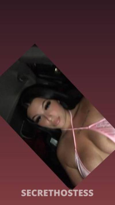 Divine 23Yrs Old Escort Austin TX Image - 1