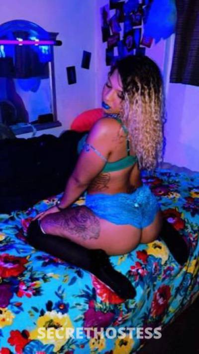 Dream,Fantasy 27Yrs Old Escort Saint Louis MO Image - 1