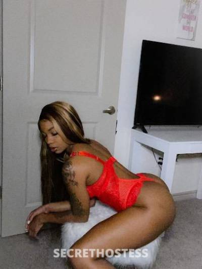 Glam 26Yrs Old Escort Austin TX Image - 0