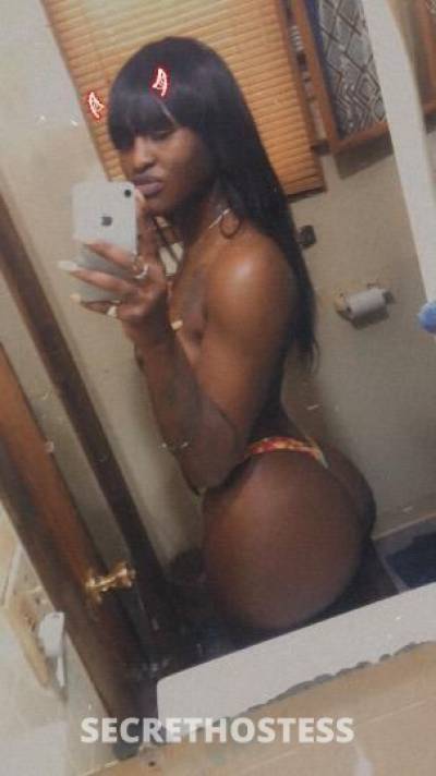 Honeyyy 26Yrs Old Escort Milwaukee WI Image - 2