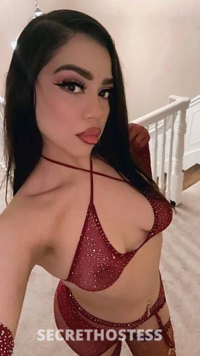 21 year old Latino Escort in Everett WA Foreign Latina Ready for the best play