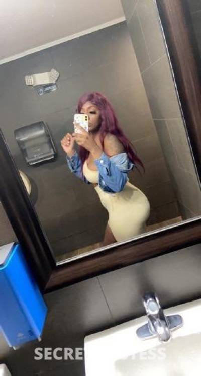 Myaa 21Yrs Old Escort College Station TX Image - 3