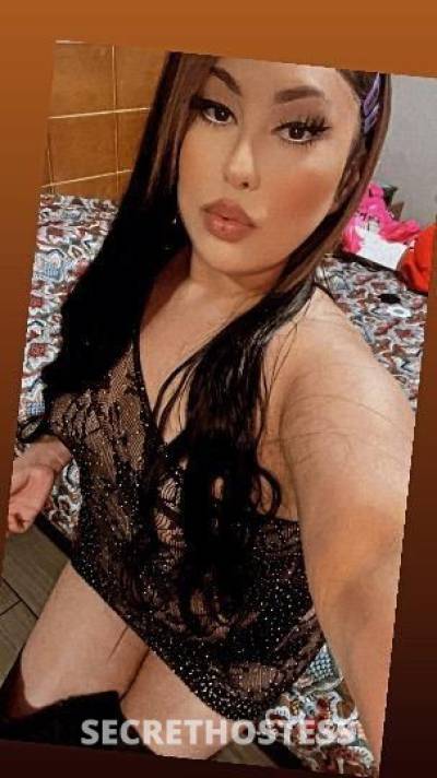 Yessy 21Yrs Old Escort Chicago IL Image - 1