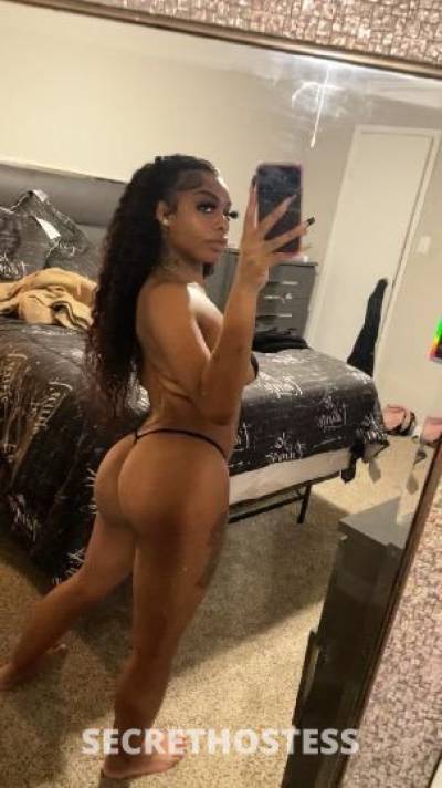 24Yrs Old Escort Houston TX Image - 1