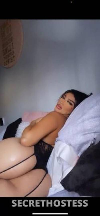 27Yrs Old Escort Los Angeles CA Image - 1