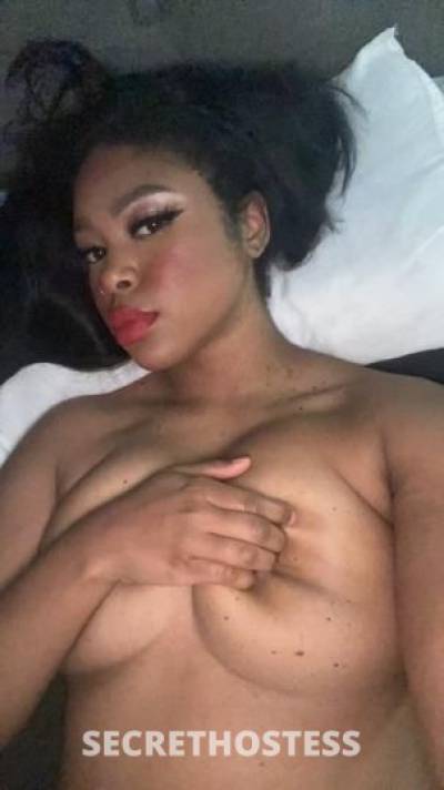 28Yrs Old Escort Florence SC Image - 1