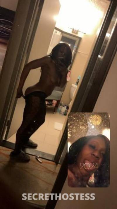 36Yrs Old Escort Denver CO Image - 2