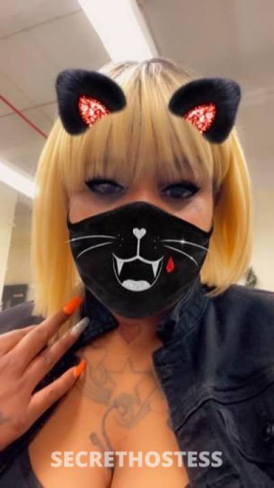 Barbie 26Yrs Old Escort Queens NY Image - 2