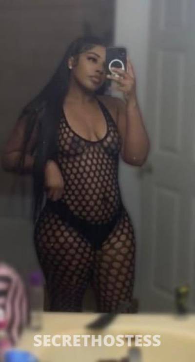 Bunny 25Yrs Old Escort Denver CO Image - 1