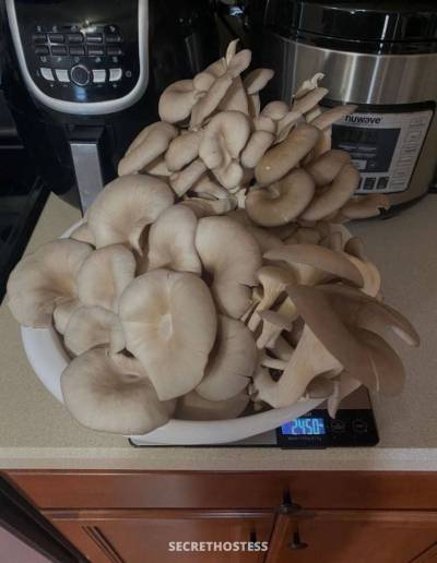 Cassie 26Yrs Old Escort Regina Image - 7