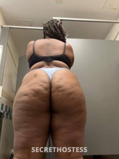 Diamond 25Yrs Old Escort New York City NY Image - 1