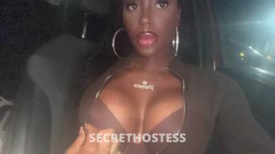 Dream 25Yrs Old Escort San Diego CA Image - 6