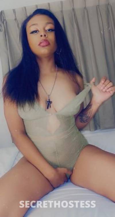 EgyptBankz 22Yrs Old Escort Phoenix AZ Image - 0