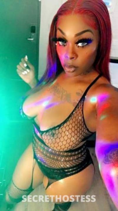 Kashegypt 26Yrs Old Escort Fresno CA Image - 4