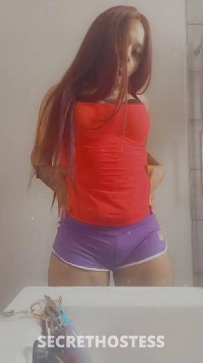 Lexii 26Yrs Old Escort Chicago IL Image - 4