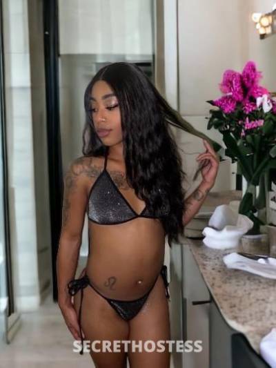 Monet 22Yrs Old Escort Sacramento CA Image - 3