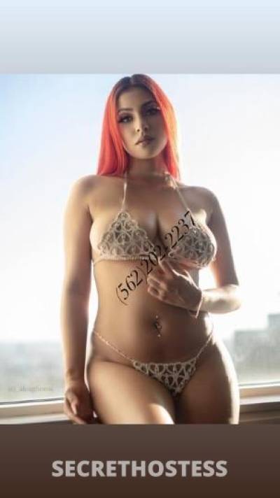 Nicole 24Yrs Old Escort Concord CA Image - 6