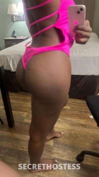 Rosé 20Yrs Old Escort Portland OR Image - 4