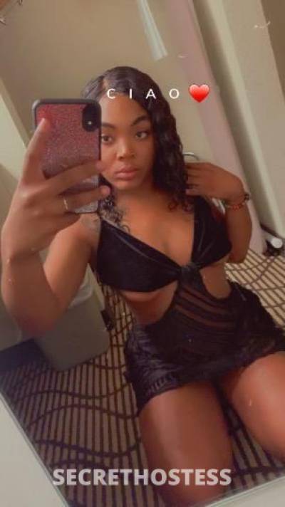 Rose 24Yrs Old Escort Concord CA Image - 0