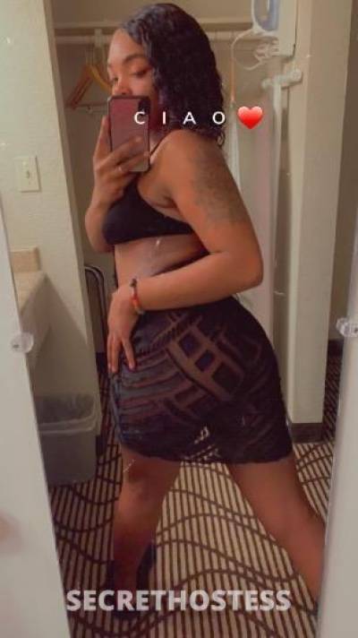 Rose 24Yrs Old Escort Concord CA Image - 1