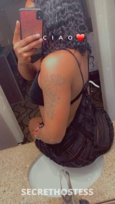 Rose 24Yrs Old Escort Concord CA Image - 3