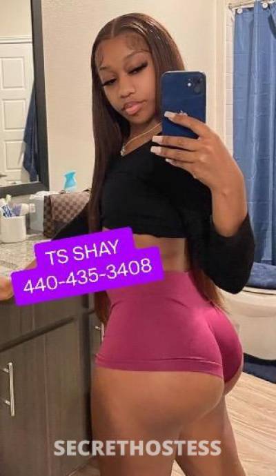 Shay 23Yrs Old Escort Cleveland OH Image - 1