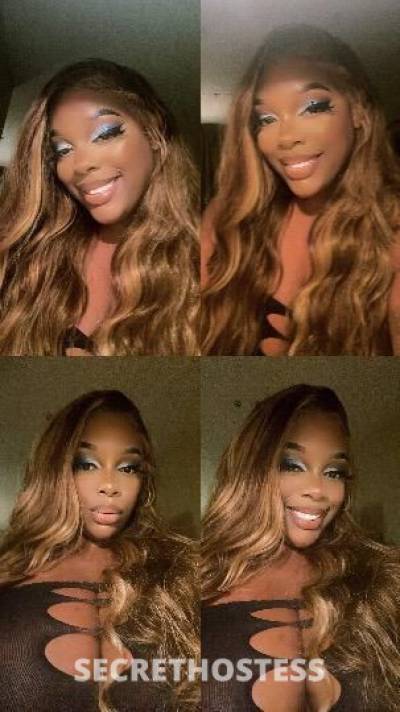 Sugga 25Yrs Old Escort Oakland CA Image - 0