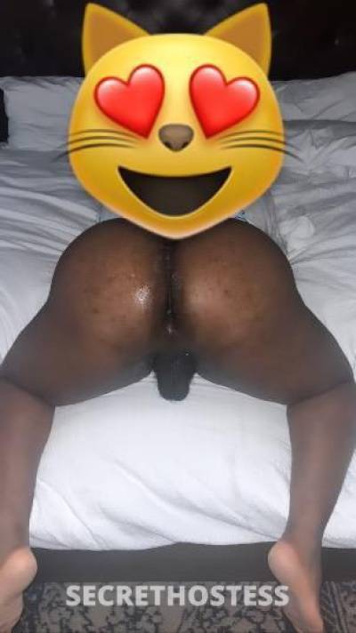 Whoeveryouwantmetobe 29Yrs Old Escort Palm Bay FL Image - 1