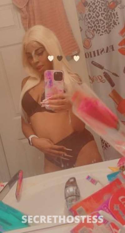 angel 25Yrs Old Escort Biloxi MS Image - 0