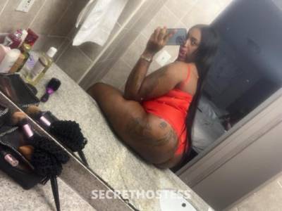 29Yrs Old Escort Bronx NY Image - 0