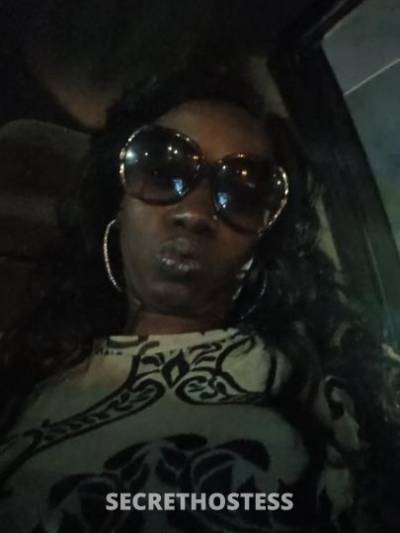 Againdalla 38Yrs Old Escort Jacksonville FL Image - 0