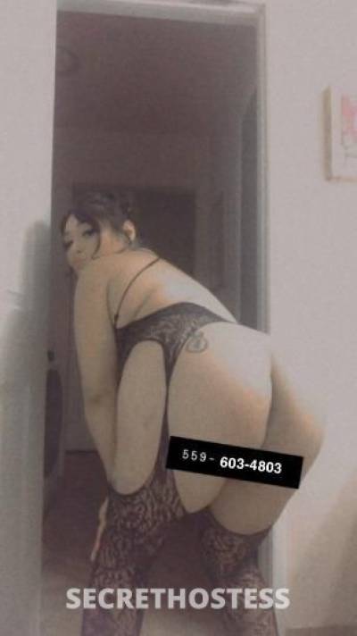 Alyssa 24Yrs Old Escort Fresno CA Image - 6